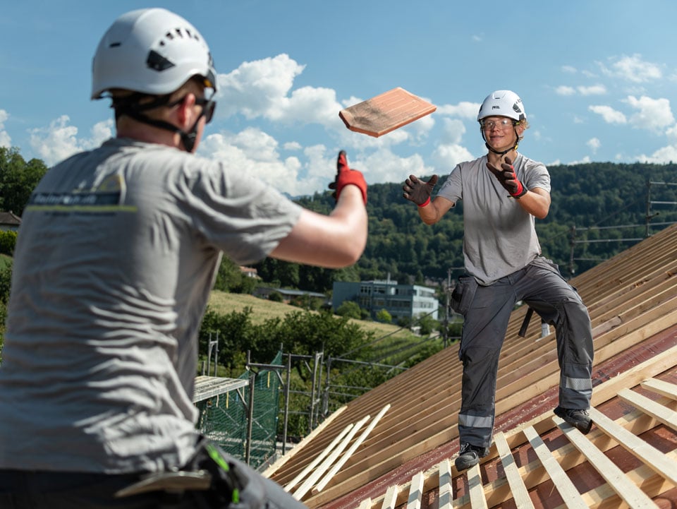 3751_120242_120241_Dachdecker_25_Wert_1