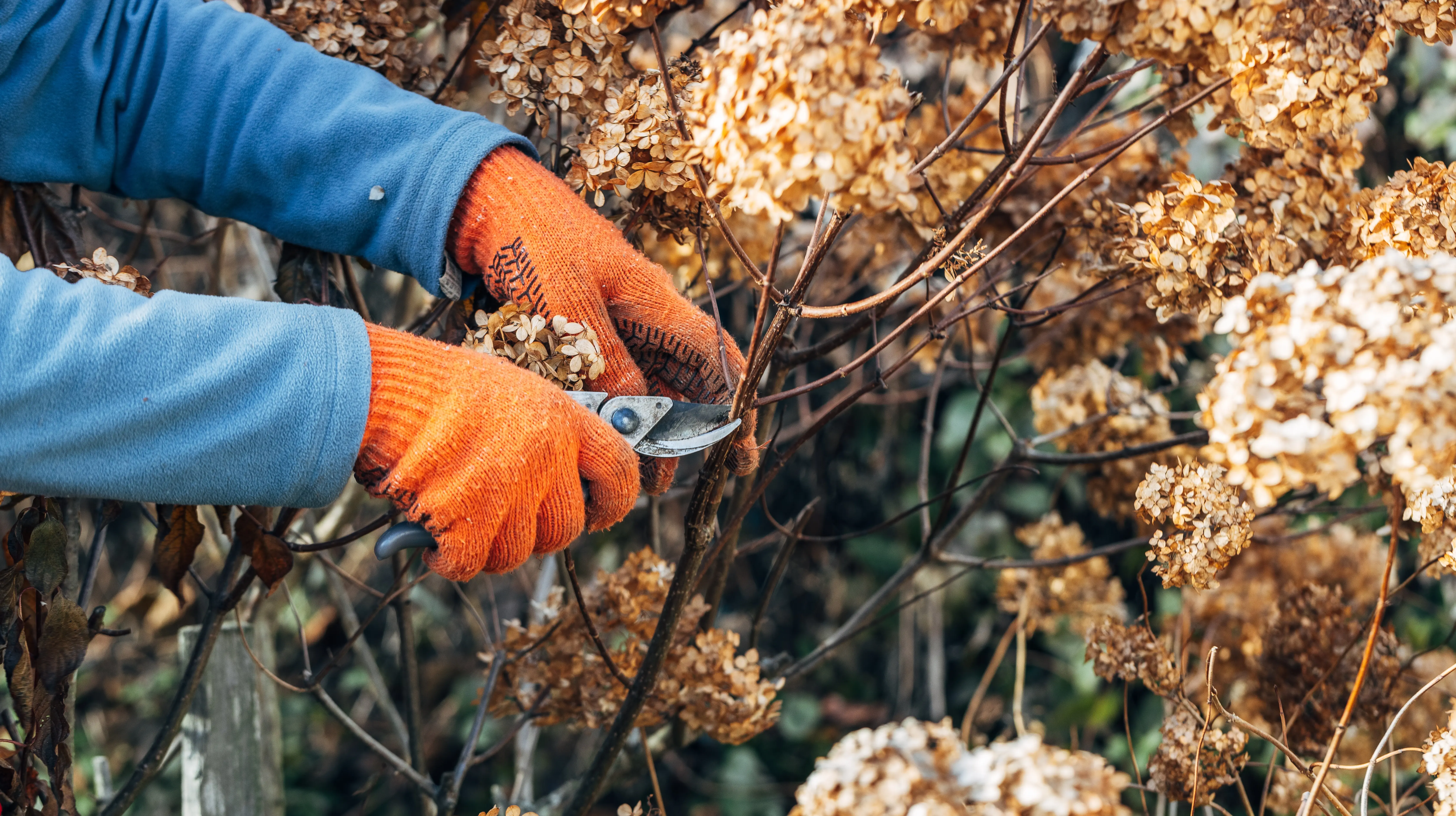 Jetzt den Garten auf den Winter vorbereiten. Erfahren Sie, wie es geht